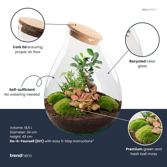 Drop XXL Bonsai terrarium
