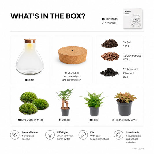 Sam XL Bonsai terrarium