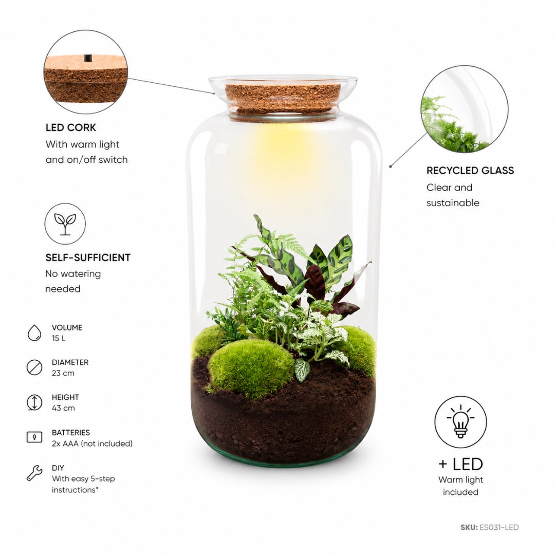 Sven XL Botanical terrarium