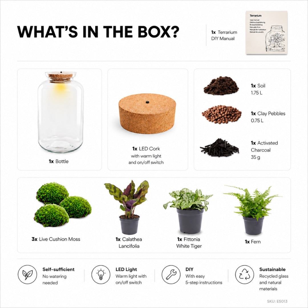 Sven XL Botanical terrarium
