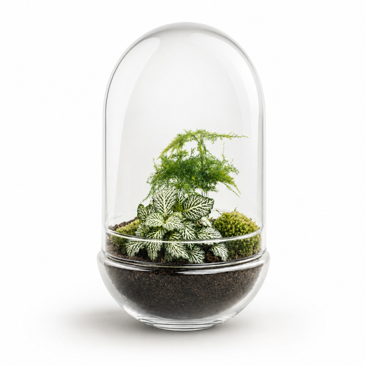 Egg XL terrarium