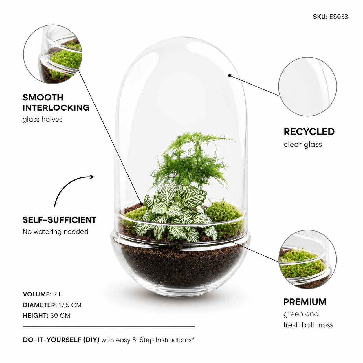 Egg XL terrarium
