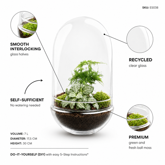 Egg XL terrarium