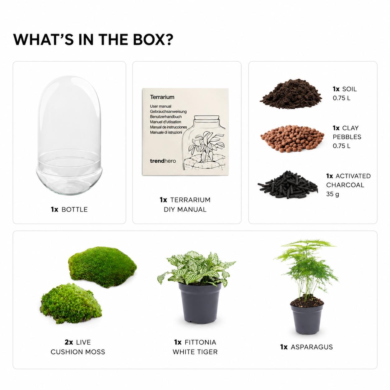 Egg XL terrarium