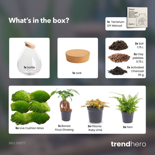 Drop XXL Bonsai terrarium
