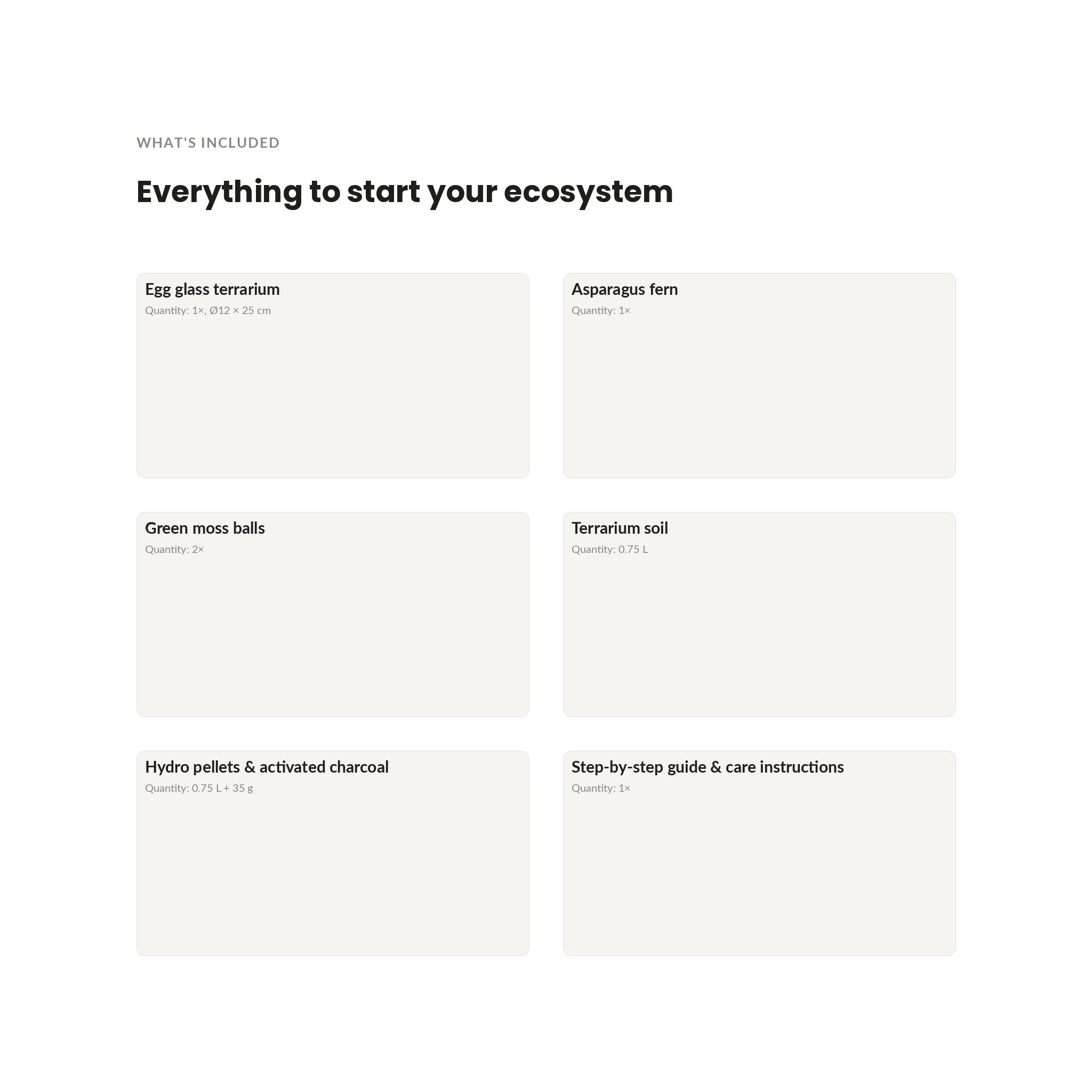 Egg Asparagus — What's included in the terrarium kit