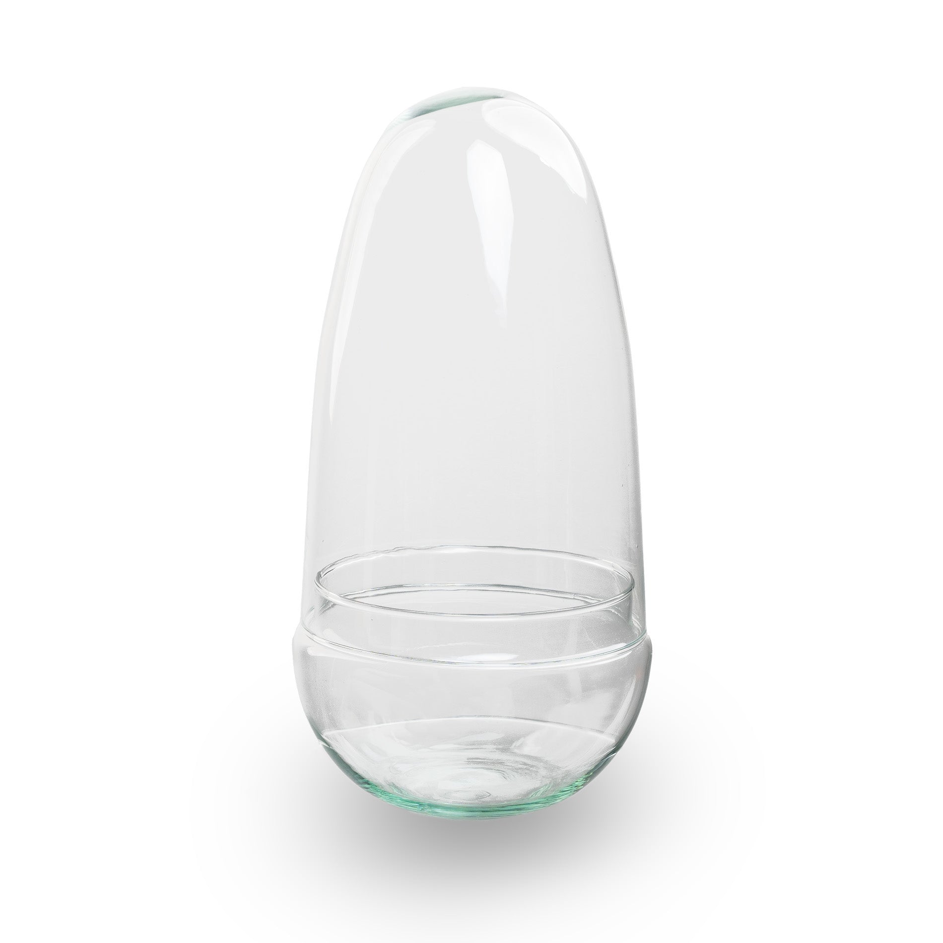 Egg Asparagus terrarium
