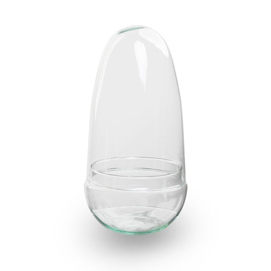 Egg Asparagus terrarium