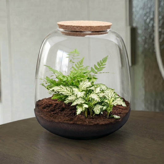 Emma Mini terrarium